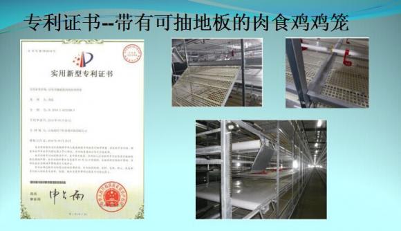 专利证书--带有可抽地板的肉食鸡鸡笼