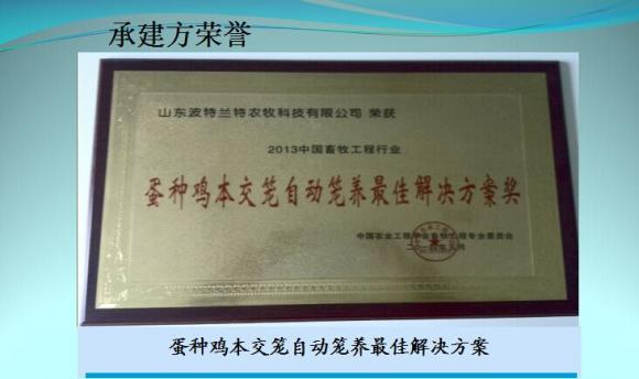 蛋种鸡本交笼自动笼养最佳解决方案
